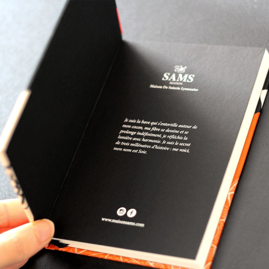 carnet_en_soie_e3_3.jpg