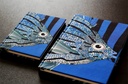 CARNET EN SOIE - T14