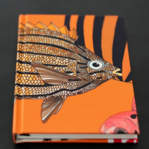 CARNET EN SOIE - T3 (Petit Format - A6)